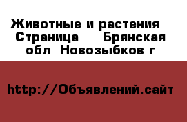  Животные и растения - Страница 6 . Брянская обл.,Новозыбков г.